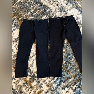 Two pair Banana Republic Curvy Fit Sloan Pants